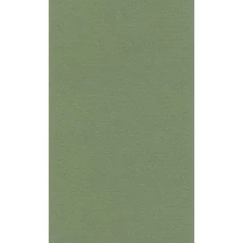Barevný papír Barevný papír Lana 70x100cm – 13 sap green (Barevný papír Lana 70x100cm – 13 sap green)