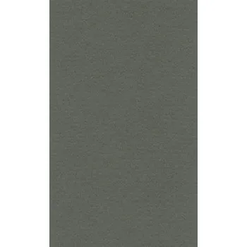 Papír pro tiskárny Barevný papír Lana 50x65cm - 15 ivy (Barevný papír Lana 50x65cm - 15 ivy)