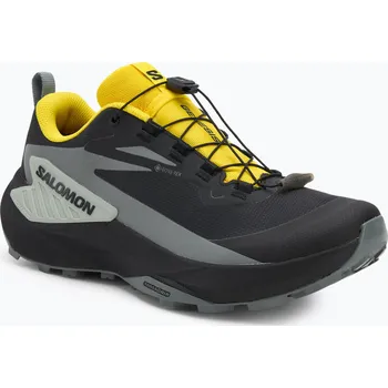 Pánská běžecká obuv Pánské běžecké boty Salomon Genesis GTX black/sedona sage/incaberry