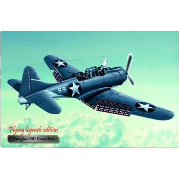 Obraz Cedule Letadlo Douglas SBD Dauntless