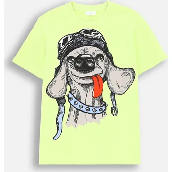 Coccodrillo dětské tričko zelené bavlna velikost 104