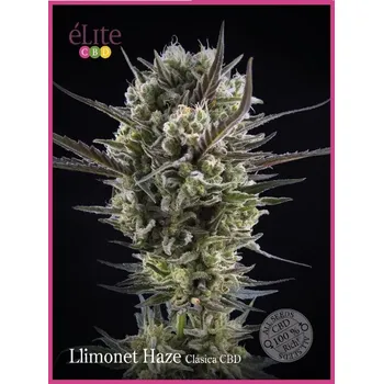 Semeno Élite Seeds - Llimonet Haze CBD 3 ks