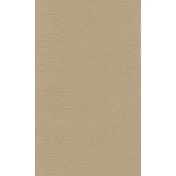 Kancelářský papír Barevný papír Lana 70x100cm – 18 oyster (Barevný papír Lana 70x100cm – 18 oyster)