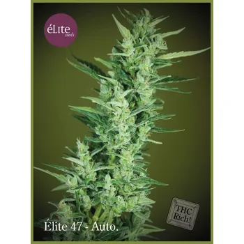 Semeno Élite Seeds - Élite 47 Auto 3 ks