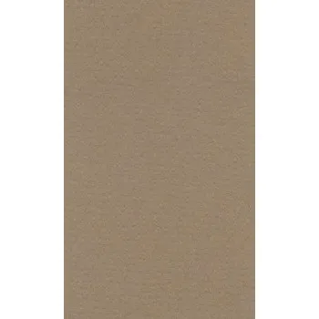 Papír pro tiskárny Barevný papír Lana 50x65cm - 21 brown (Barevný papír Lana 50x65cm - 21 brown)