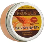 VIVACO Ochranný balzám na rty Propolis HERB EXTRACT 25 g