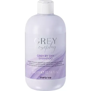 Šampon Inebrya Grey By Day Shampoo 1000 ml