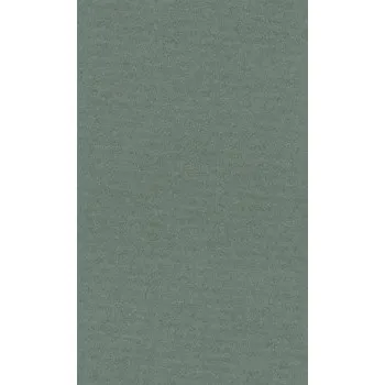 Kancelář Barevný papír Lana A4 - 14 sage (Barevný papír Lana A4 - 14 sage)