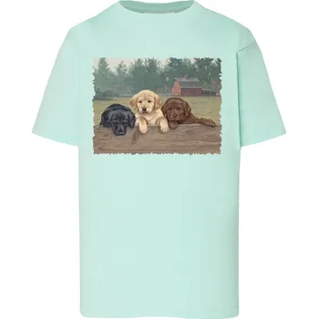 Dívčí tričko detske-levne-bavlnene-tricko-potisk-stene-labrador Barva: Mint green - mátově zelená, Dětská bavlněná trička JHK: XL