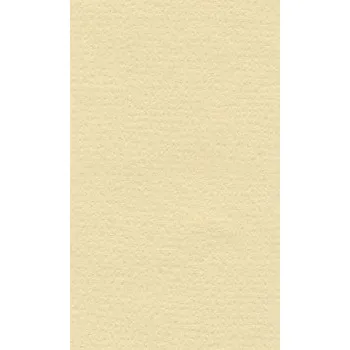Papír Barevný papír Lana 70x100cm – 16 cream (Barevný papír Lana 70x100cm – 16 cream)