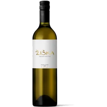 Víno Ryzlink rýnský 2024, pozdní sběr, Žiška, suché