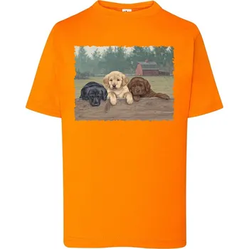 detske-levne-bavlnene-tricko-potisk-stene-labrador Barva: Orange - oranžová, Dětská bavlněná trička JHK: S