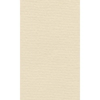 Barevný papír Barevný papír Lana 70x100cm – 17 ivory (Barevný papír Lana 70x100cm – 17 ivory)