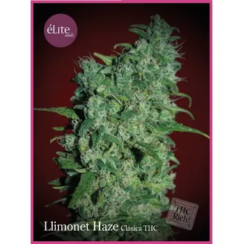 Semeno Élite Seeds - Llimonet Haze 3 ks