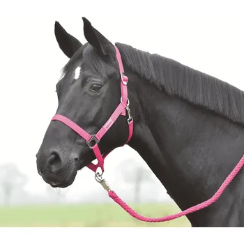 BUSSE Ohlávka Hansa BUSSE, pink SHETTY