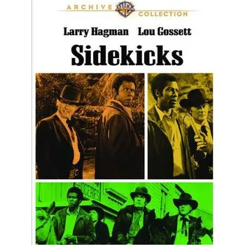 Zahraniční hudba DVD The Sidekicks: Sidekicks 2013