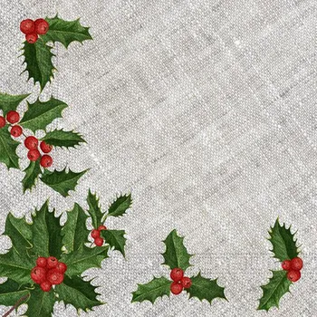 Papírový kapesník PROCOS Vánoční papírové ubrousky 33x33cm 3vrstvé větvičky 20ks