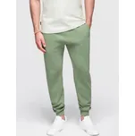 Pánské jogger tepláky V1 - ESPIR Barva: Zelená, Velikost: XL