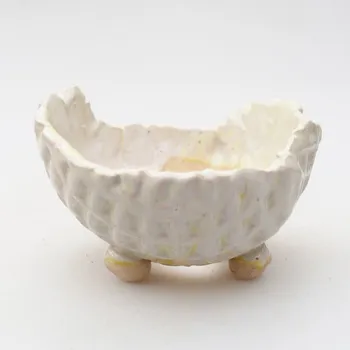 Květináč Keramická Skořápka 8 x 8 x 5 cm zelená