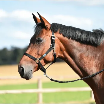 BUSSE Ohlávka Hansa BUSSE, černá SHETTY