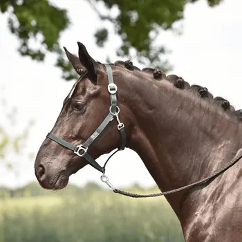 BUSSE Ohlávka Hansa BUSSE, dark green SHETTY