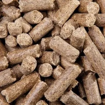 Krmivo pro koně Cukrovarské řízky - pytlované 10kg