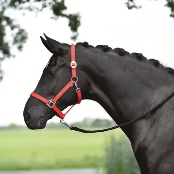 BUSSE Ohlávka Hansa BUSSE, red SHETTY