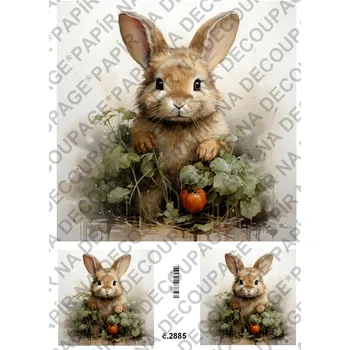 Umělecký papír Rýžový a soft papír na decoupage - Zajíček - KB2885 Materiál: Soft, Rozměr: A4