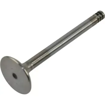 Ventil motoru Sací ventil SEAT - VW GOLF II III JETTA II POLO VENTO - 1.0 1.3 1.4 (VAG 030109601E)