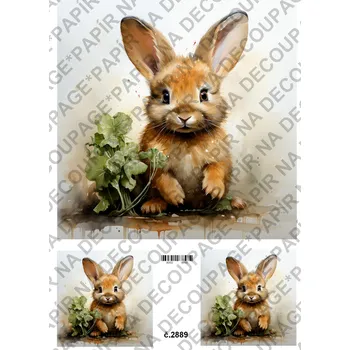 Umělecký papír Rýžový a soft papír na decoupage - Zajíček - KB2889 Materiál: Soft, Rozměr: A4