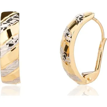 Náušnice DIANTE Zlaté náušnice 59643314 (Au 585/1000, 1,48 g)