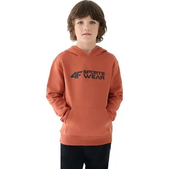 Chlapecká mikina Mikina 4F M1223 Jr 4FJWAW24TSWSM1223-64S 158