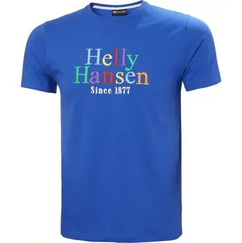 Pánské tričko Helly Hansen Core Graphit T M 53936 543 Tričko M