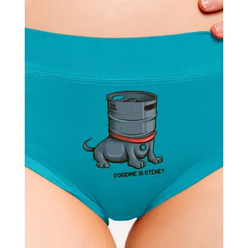 Souprava dámského spodního prádla Bastard Štěně dámské kalhotky Turquoise