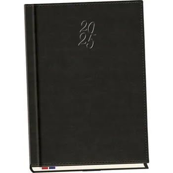 Diář Knižní diář pro podnikatele 2026 A4 Michalczyk I Prokop černý