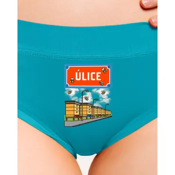Souprava dámského spodního prádla Bastard Úlice dámské kalhotky Turquoise