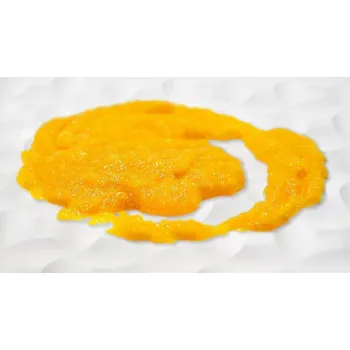 Zeelandia Zeelandia Prémiová ovocná náplň Fruitful Pomeranč (2,7 kg)