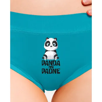 Souprava dámského spodního prádla Bastard Panda mi padne dámské kalhotky Turquoise