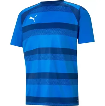 Pánské tričko Puma teamVision Jersey M 704921 02 pánské S