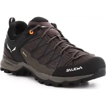 Pánské tenisky Salewa Pánské boty Mtn Trainer Lite GTX M 61361-7512 EU 41