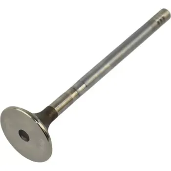 Ventil motoru Výfukový ventil VOLVO C70 S40 S60 S80 V40 V50 V60 V70 XC60 XC70 XC90 (VOLVO 8631651)