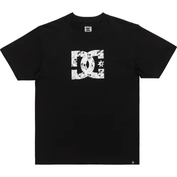 Pánské tričko DC Star Skully SS Tričko ADYZT05461-KVJ0 Černá L XXL