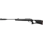 Gamo Outdoor G-Magnum 1250 Whisper IGT