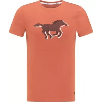 Pánské tričko Pánské tričko Aaron C Print M 1009522 7103 - Mustang 2XL