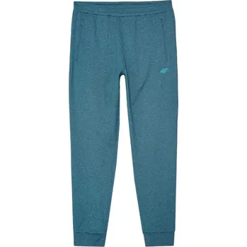 Pánské kalhoty Kalhoty 4F M 4FWAW24TFTRM682 46M S