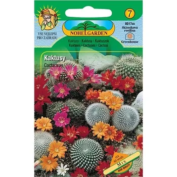 Semeno Kaktusy, směs 2