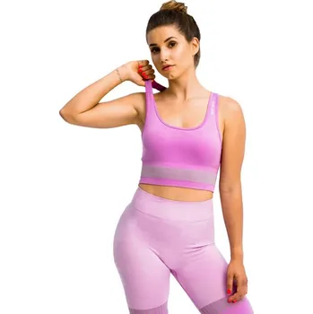 Podprsenka Podprsenka GymHero Stripes BRA-MAUVE Purple L M