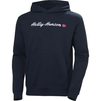 Pánské oblečení Helly Hansen Core Graphic Sweat Hoodie M 53924 596 M