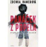 Panáček z popela - Zdenka Hamerová…
