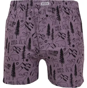 Boxerky Trenýrky Andrie s outdoorovým potiskem PS5929 šedá velikost L-50/52